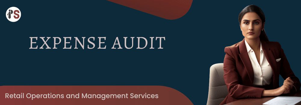 https://professionalsaath.com/Expense Audit
