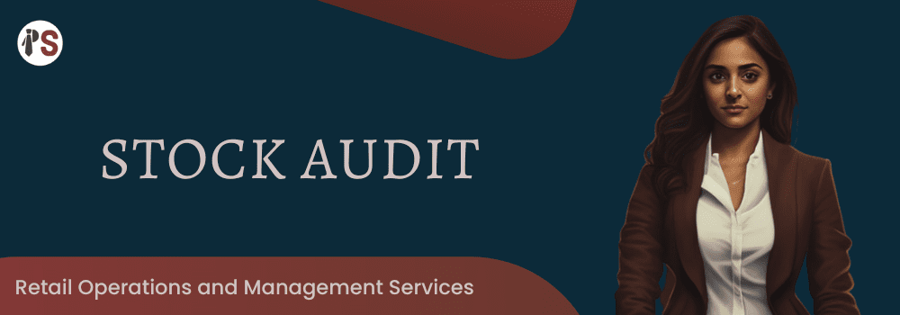https://professionalsaath.com/Stock Audit