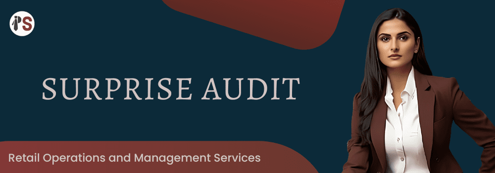 https://professionalsaath.com/Surprise Audit