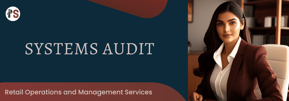 https://professionalsaath.com/Systems Audit