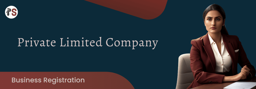 https://professionalsaath.com/Private Limited Company